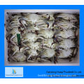 Supply size of live frozen Blue swimming crab